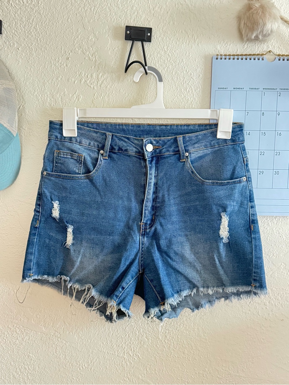Women’s Curvy Shorts